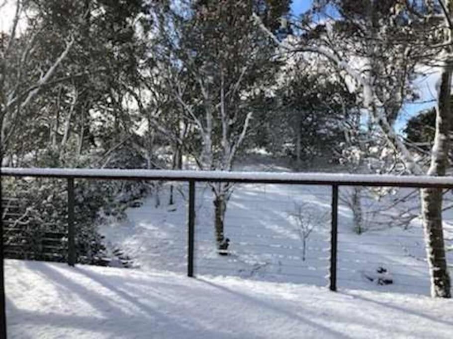 Narrow Neck Views - Peaceful 4 Bedroom Home With Stunning Views! Katoomba Exteriör bild